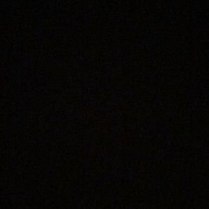 Meet your Posher, Trevor